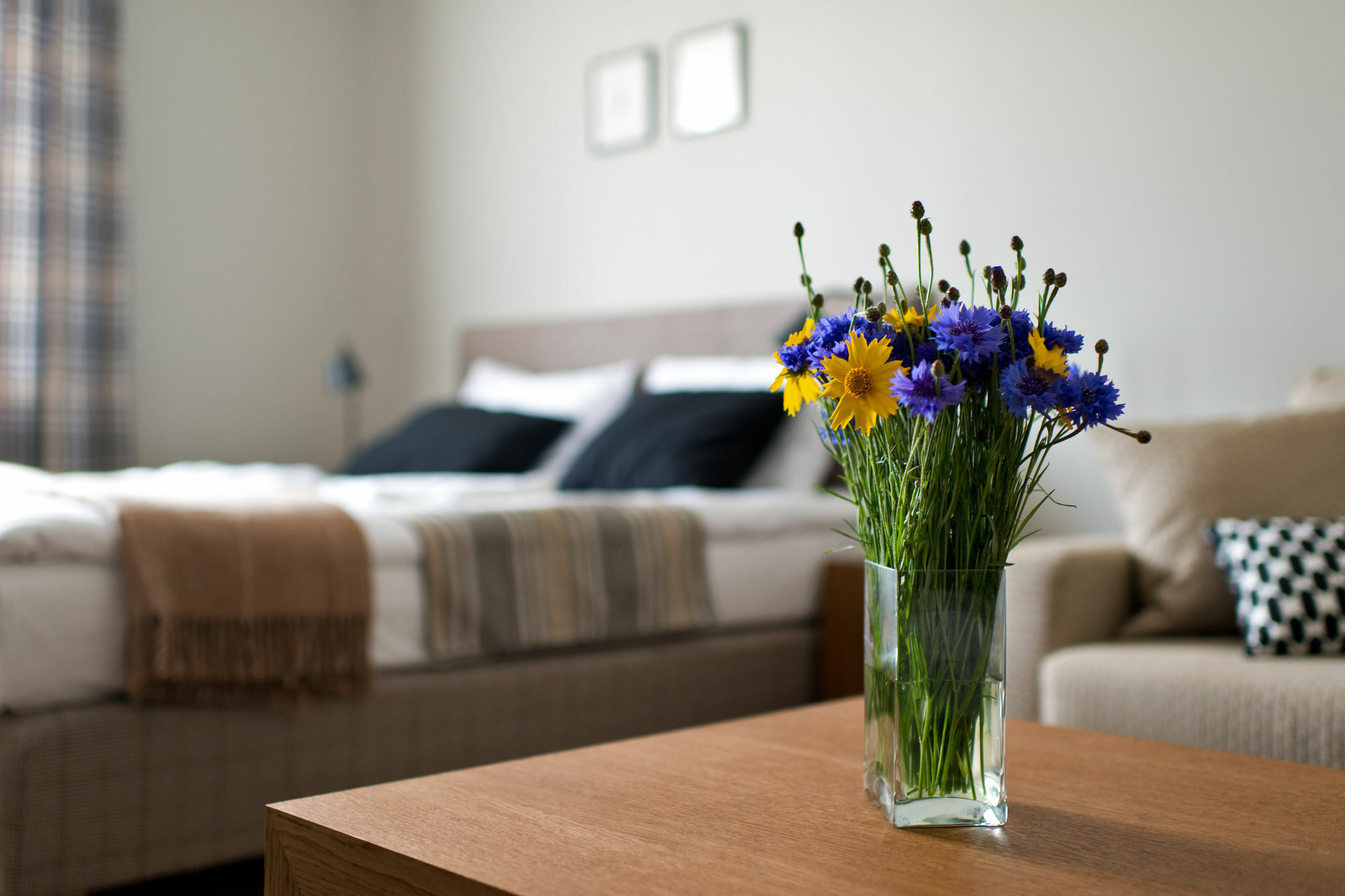 Palanga Visit Apartments And Spa المظهر الخارجي الصورة